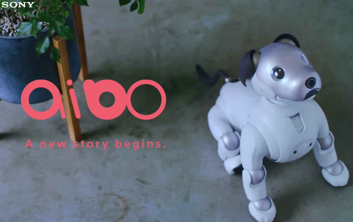 sony aibo 2018