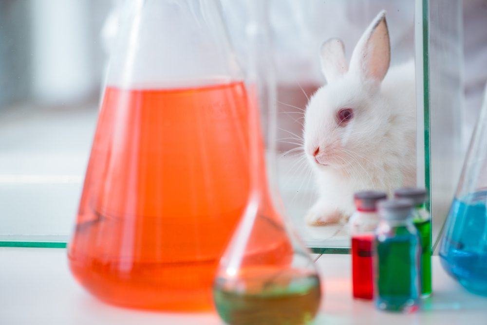 美國 FDA 推動法規轉型，以器官晶片與電腦模型取代動物實驗