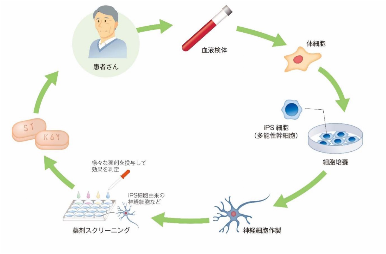 Ips 細胞治脊髓損傷 日本將創全球首例 Technews 科技新報