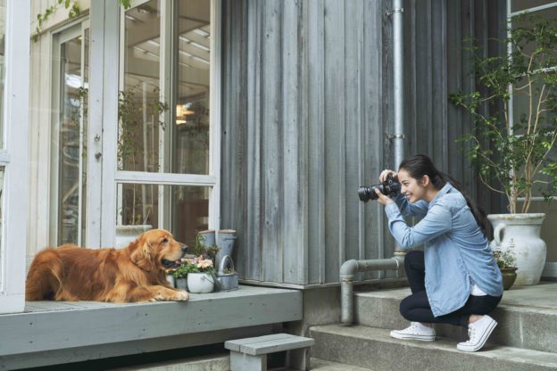 2019 Sony α 系列 Instagram 動物攝影比賽，徵件超展開