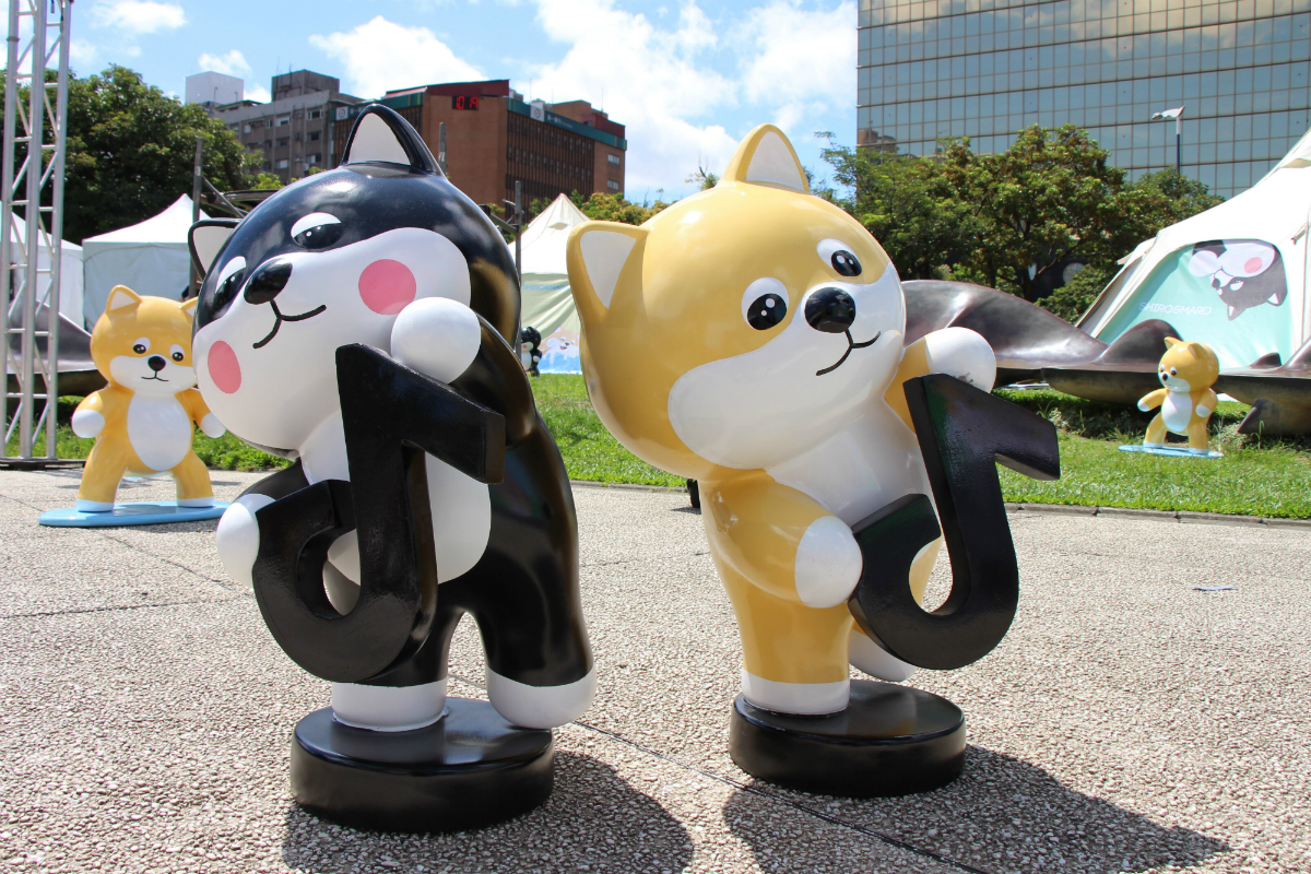 TikTok 攜手韓國人氣柴犬 SHIRO&MARO，快閃辦露營派對成打卡夯點 | TechNews 科技新報