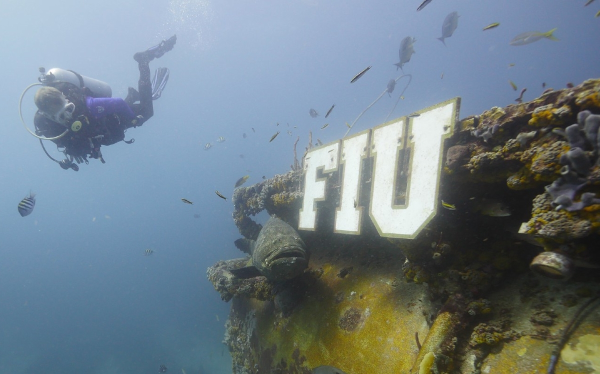 世界最後一間深海實驗室 藏著人類未來的祕密 Technews 科技新報