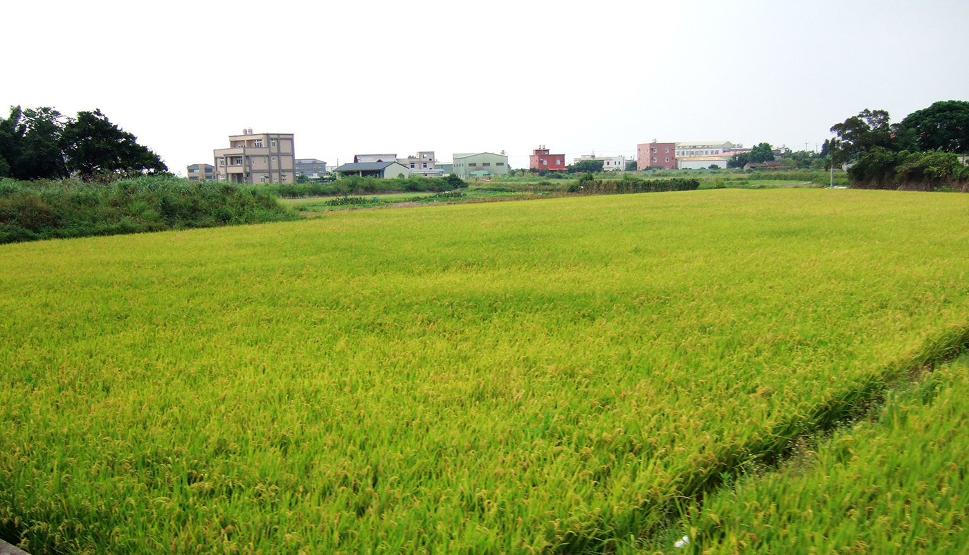 6 千家合法丁建工廠恐一夕間變違法，拆除農地高污染工廠還有更好解方嗎？ - Vimarsana News
