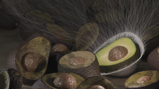 美大學研發可分解環保噴劑，取代常見食品包裝膠膜