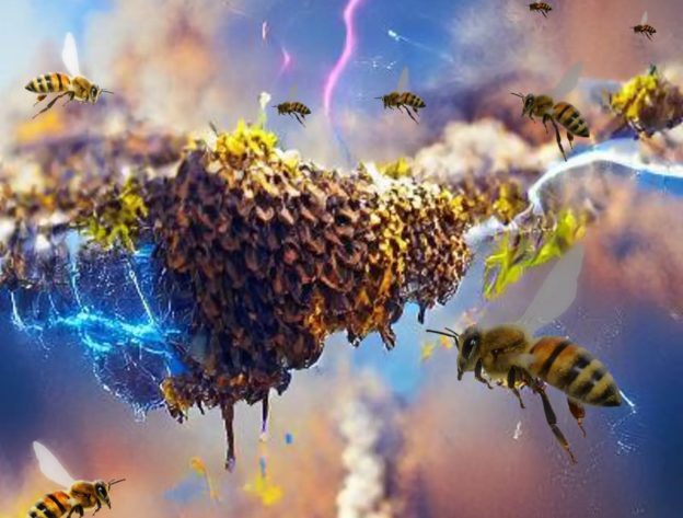 成群結隊的昆蟲群能影響大氣電荷，變化相當於風暴雲