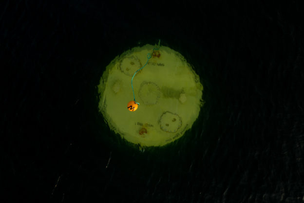 遠遠看只是「巨型浮標」，新型波浪能有望助力海上開發