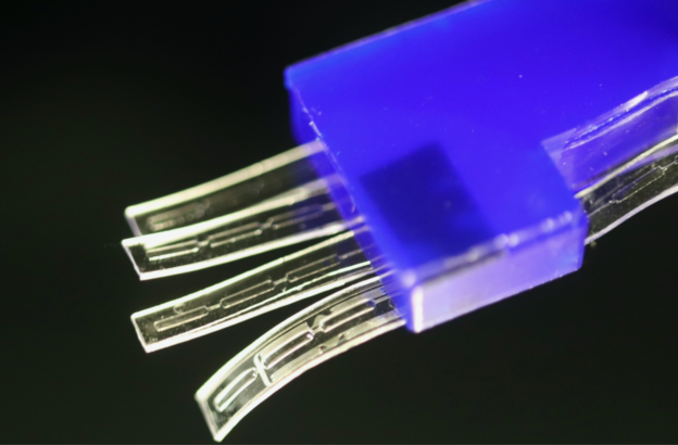 日本研發機器人「手指小手」，精準測量昆蟲腳反作用力