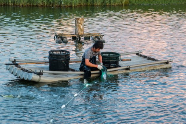 逃家浪子成魚塭發明家，把上萬電費變不到千元