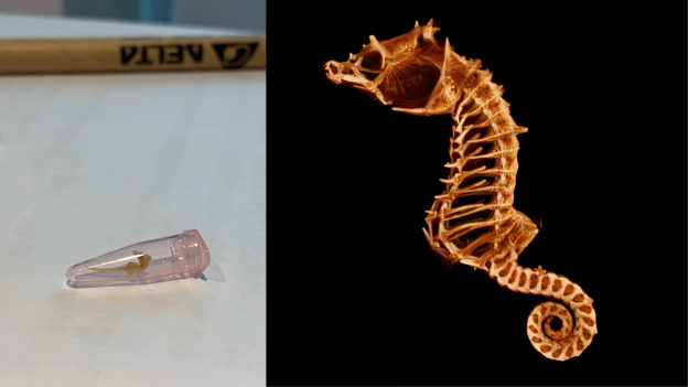 一窺微米級視界，台達微米級電腦斷層造影中心啟用