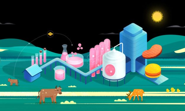 如果人造肉技術成熟，你會想吃自己的肉嗎？