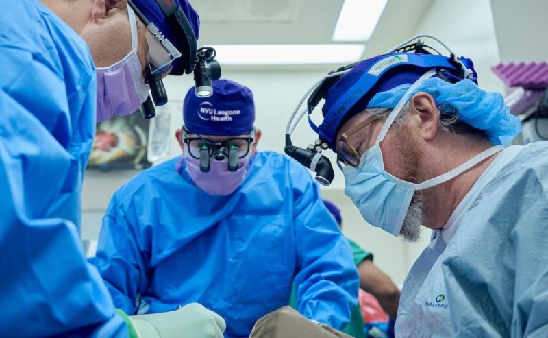 器官移植的里程碑：豬腎移植人體，正常運作超過一個月