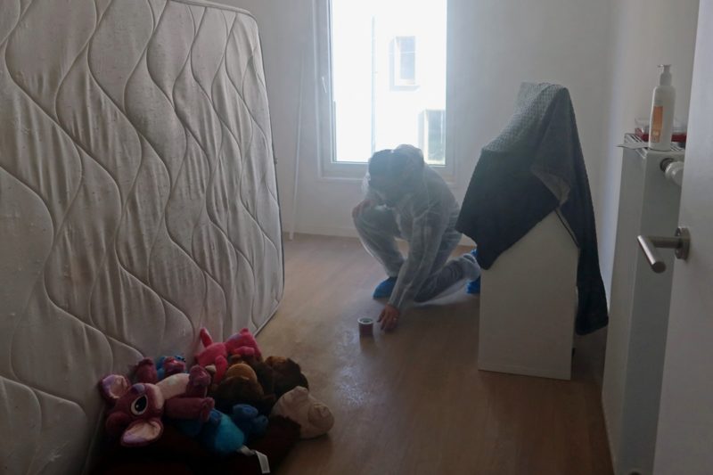 法國之後韓國也掀臭蟲恐慌？全球臭蟲 20 年來大增加有原因