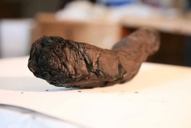 SpaceX 實習生利用 AI，破譯 2000 年前赫庫蘭尼姆古代卷軸