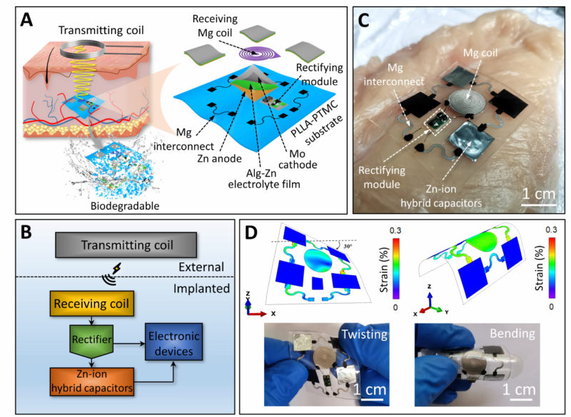 可生物分解且無線充電，蘭州大學與賓州州立大學開發體內給藥儀器