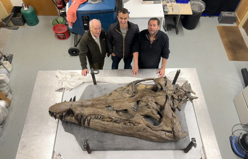 1.5 億年前「遠古海怪」英國出土，BBC 紀錄片還原侏儸紀海洋頂級掠食者真面目