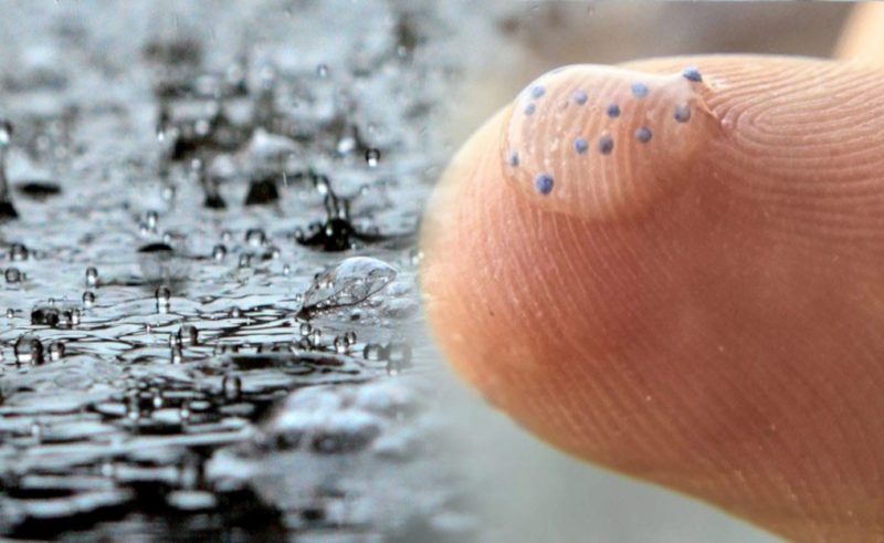 義大利科學家發現，奈米塑膠可能是心血管疾病幫兇