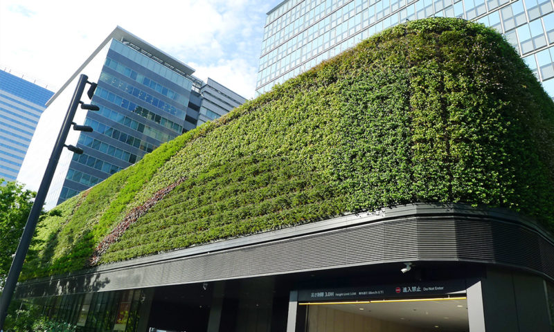 IC 基板廠 Ibiden 財測難看，獲利恐續縮、股價崩