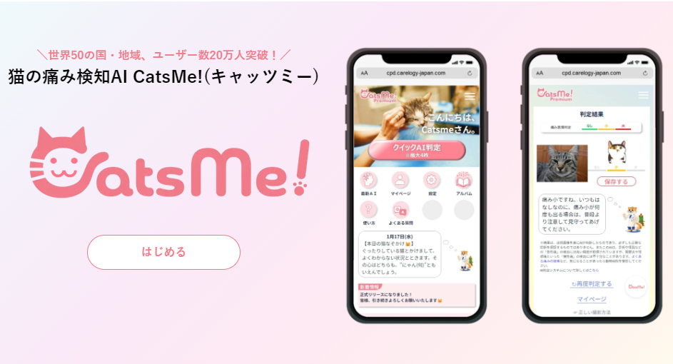 大學開發 AI 程式,分析貓咪表情掌握健康狀態