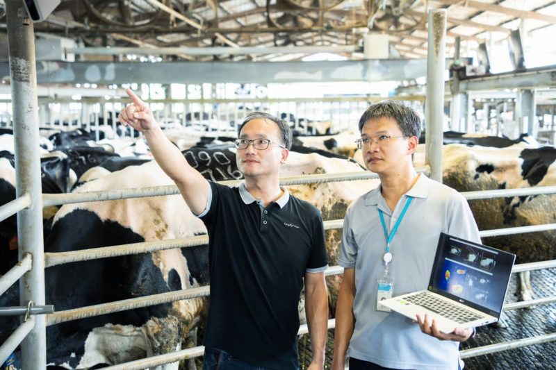 AI 秒判是否要增重或減肥!工研院開發「乳牛 3D 體態辨識系統」