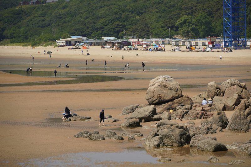 氣候難適應，韓國三萬人上街抗議政府無用