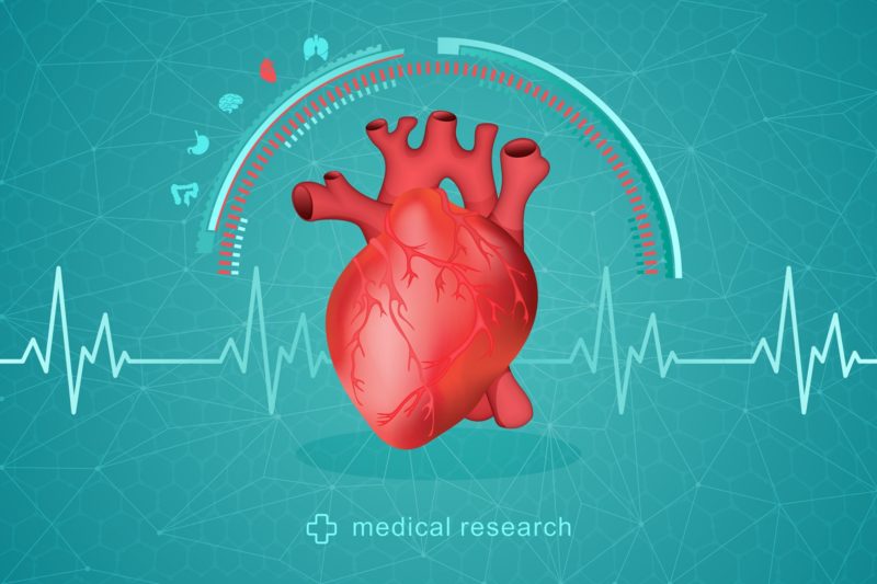 瑞典研究，心臟藏著強大的自我修復機制