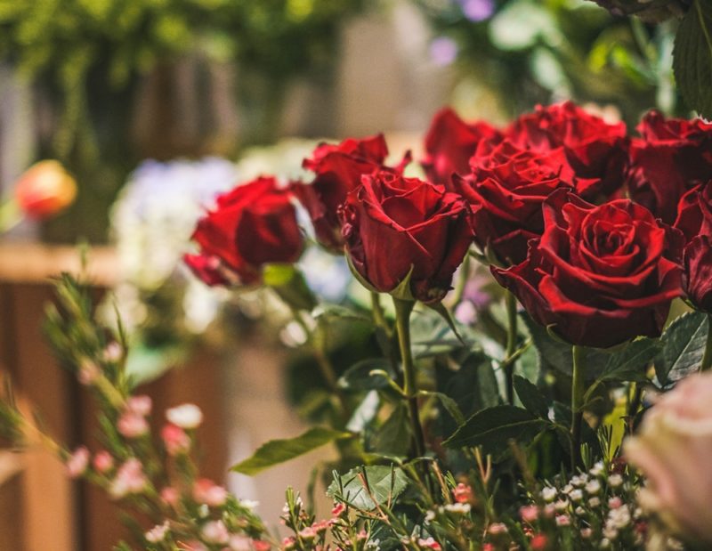 9.4 億朵花的旅程，邁阿密國際機場成情人節鮮花轉運樞紐