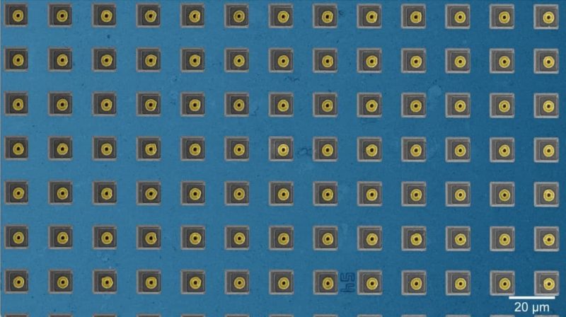 哈佛大學成功開發 CMOS 晶片，成功繪製 2,000 個大鼠神經元圖譜