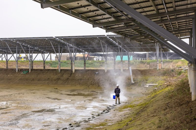 台泥綠能嘉義漁電案場遭撤照！主管機關：決議暫緩執行處分