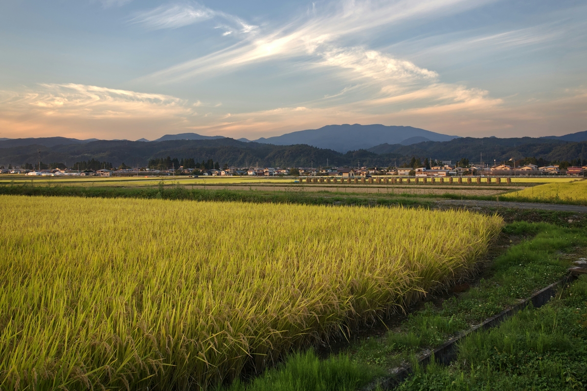 世紀最強聖嬰 9 月報到，聯合國：2028 年陷糧食危機