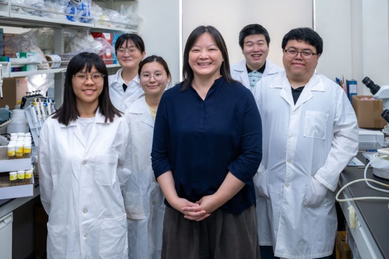 帕金森氏症重大突破！陽明交大以果蠅大腦揭「腦中清潔系統」關鍵