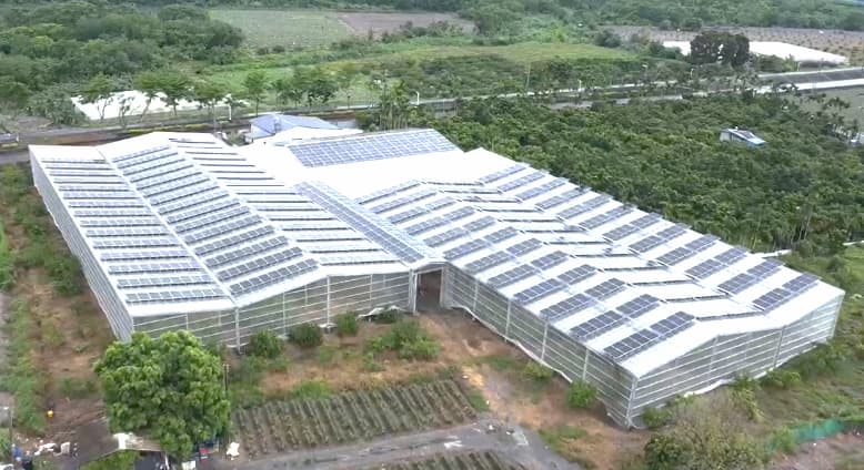 麗升能源屏東太陽能農電挺過風災!結構型溫室助農打造「韌性農電」