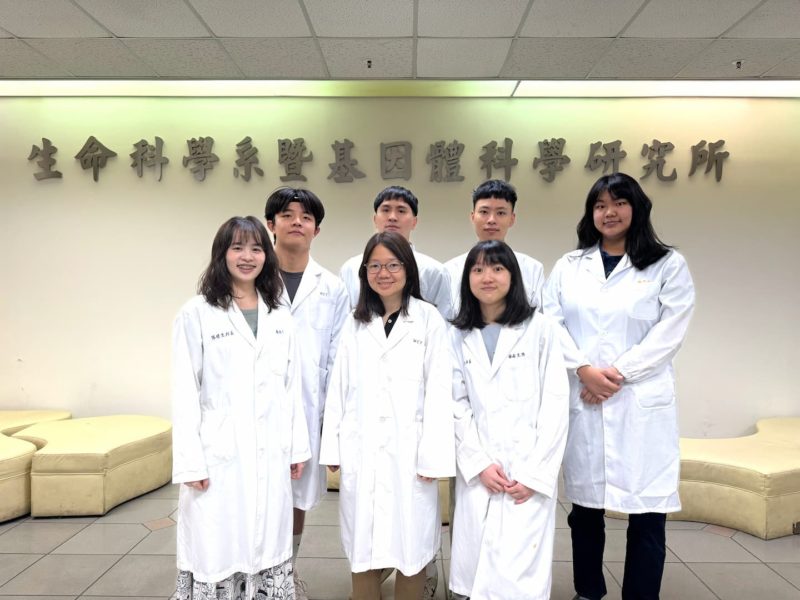 肝臟怎麼自我修復？陽明交大與哈佛大學聯手發現關鍵「剎車」基因