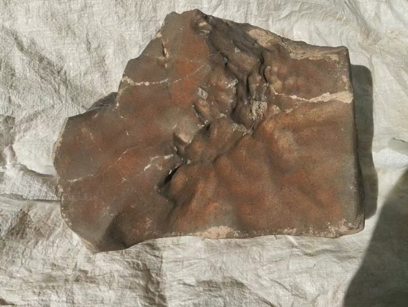 全球最大火星隕石拍賣，掀所有權與科學倫理辯論