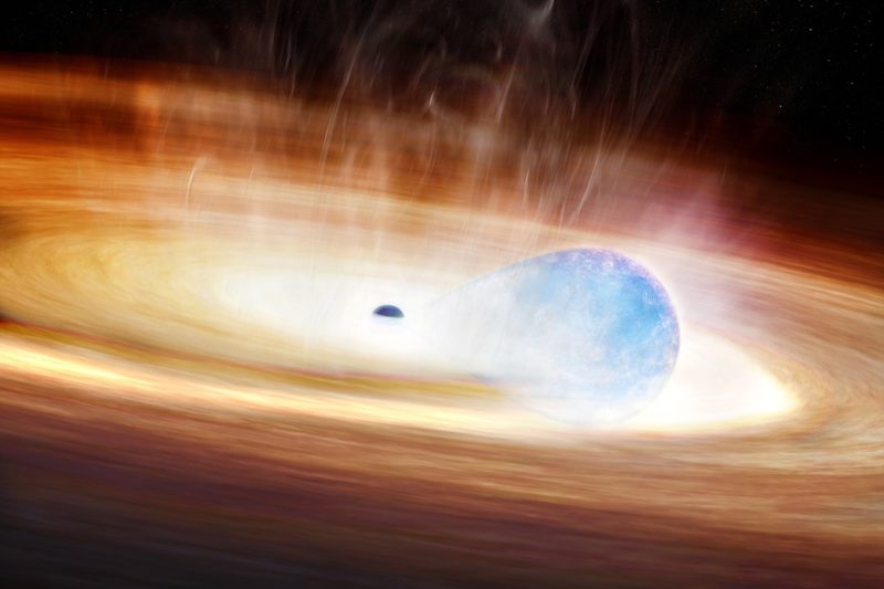 一顆恆星與黑洞周旋多年試圖反抗吞噬，最終引爆成奇異超新星