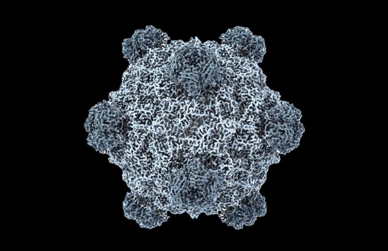 AI 會「編寫」病毒!史丹佛團隊讓噬菌體進化,精準打擊大腸桿菌