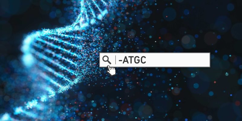 「DNA 版 Google 搜尋」誕生，MetaGraph 能秒搜全球基因資料庫