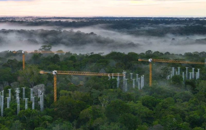 模擬未來大氣條件，科學家在亞馬遜打造氣候「時光機」