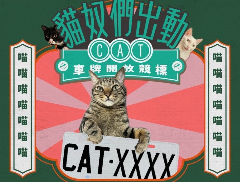 貓奴夢幻車牌，CAT-8888 最夯決標 57.6 萬