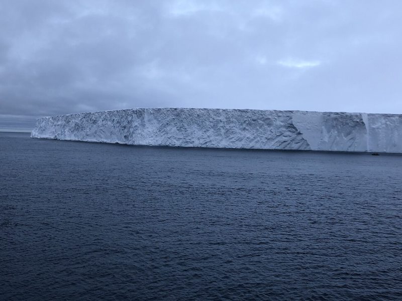 南極冰山崩解奇觀，水下機器人探測「數千個魚巢」宛如城市網格