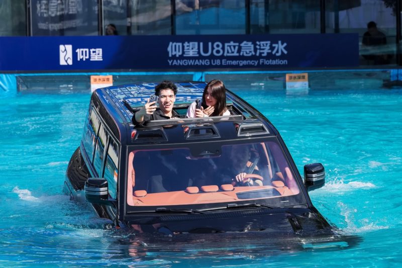 黨的鐵拳出擊，比亞迪連續三個月銷售衰退