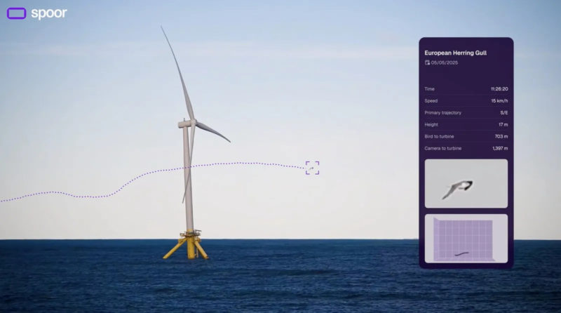 不讓小鳥「自殺突擊」也是門好生意？新創 Spoor 用 AI 盯住每雙翅膀，完成 3 億元募資
