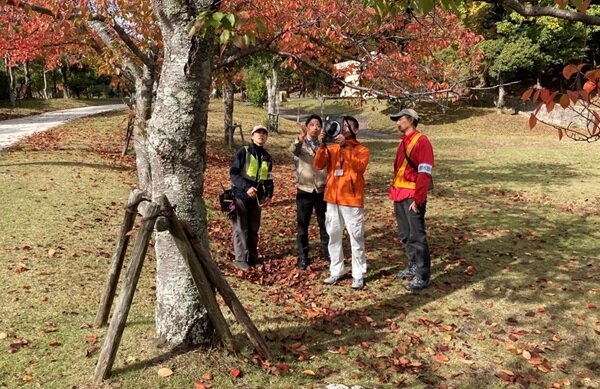 極端氣候使樹木傷人事件越見頻繁，三井住友建設開發 tree AI 可評估樹木風險