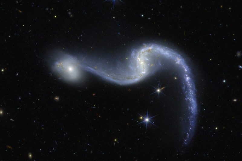 宛如宇宙節慶花環，歐幾里得望遠鏡捕捉 NGC 646 棒旋星系璀璨身影
