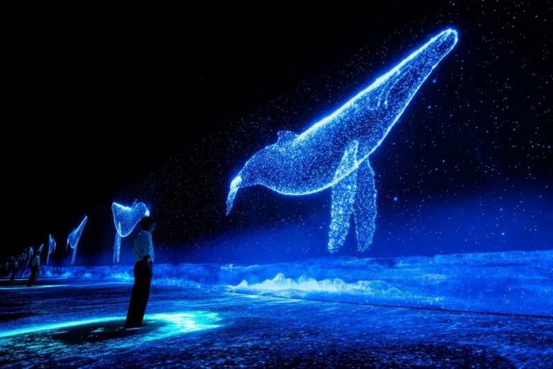 韓國必訪 ARTE MUSEUM 2026 年插旗高雄！CEO 歷經十年失敗，磨出年收 20 億的沉浸式奇蹟