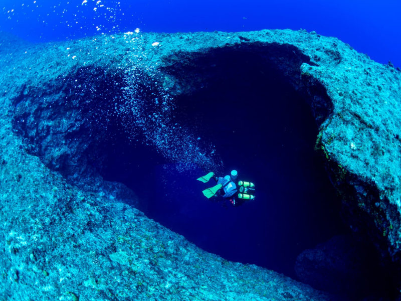 深海「Twilight Zone」的警訊與驚喜：關島發現 20 種新物種，且深海珊瑚礁也難逃暖化毒手