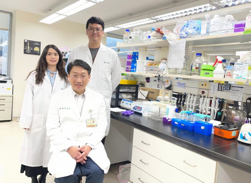 癌細胞有抗壓性！陽明交大發現「治療壓力」能讓癌細胞躲避免疫攻擊