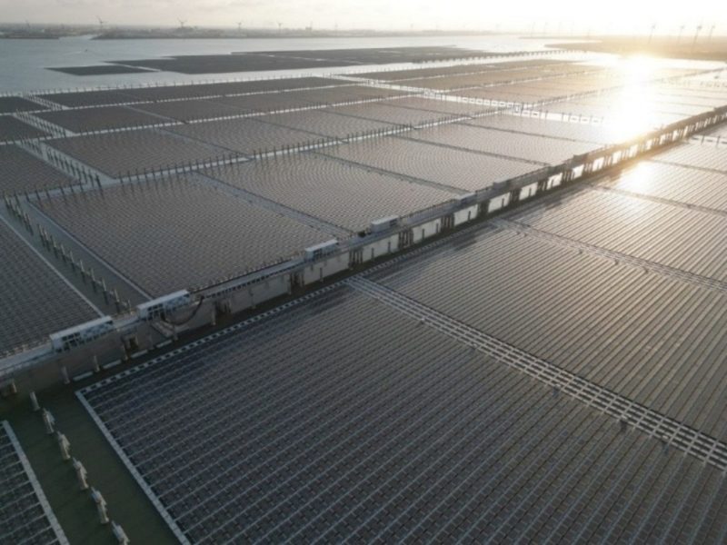 雲豹能源旗下台普威拿下 48MW 大型光儲 EPC 案