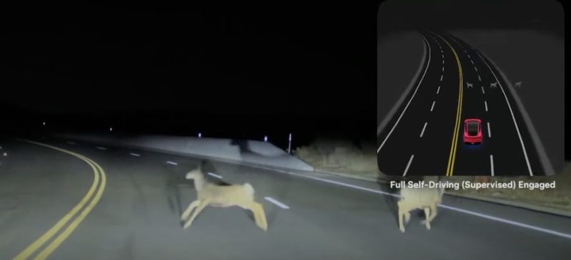 電腦開更安全？保險公司推 FSD 保費 5 折方案