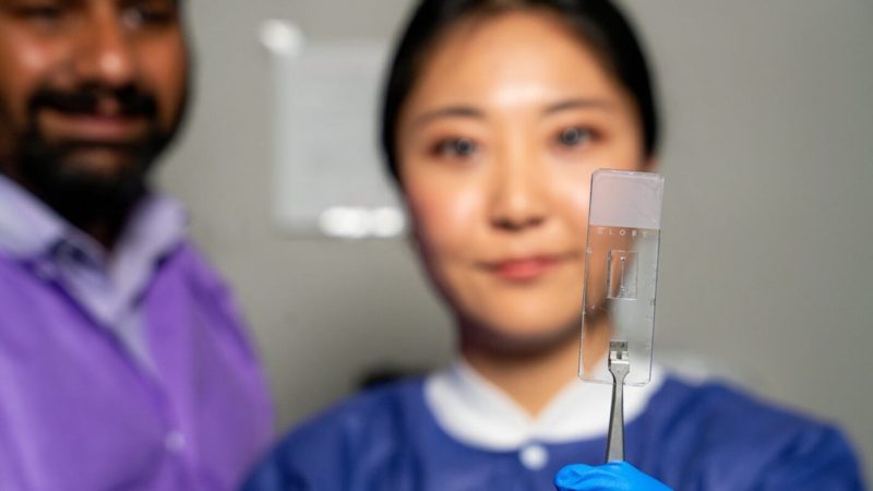 「活血管晶片」可彎曲分支，精準模擬人體血管疾病