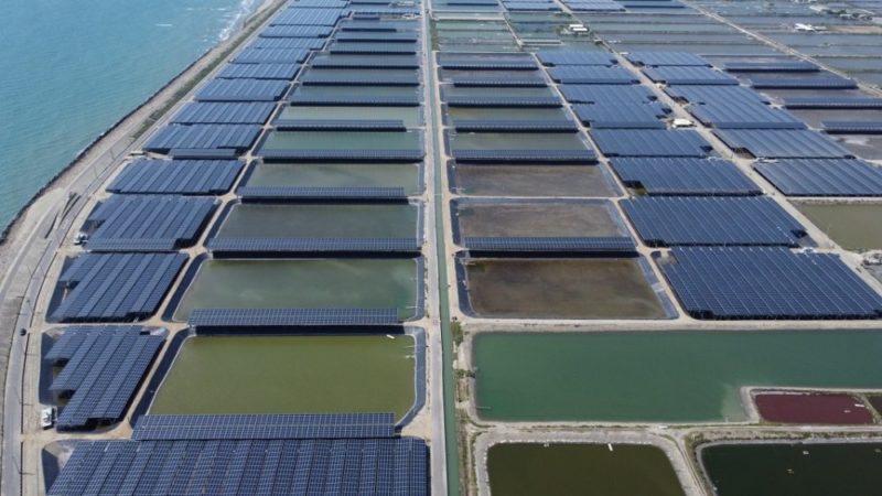 雲豹積極推動海外布局，鎖定日本與東南亞市場